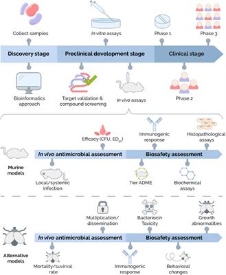 Bacteriocins: An Overview of Antimicrobial, Toxicity, and Biosafety Assessment by in vivo Models